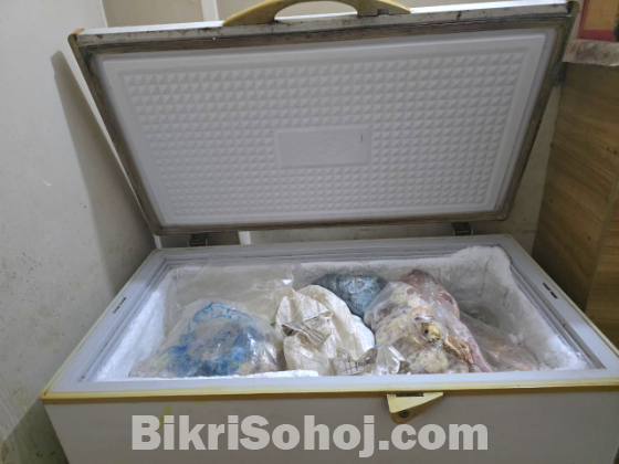 Singer Refrigerator cold storage freezers
